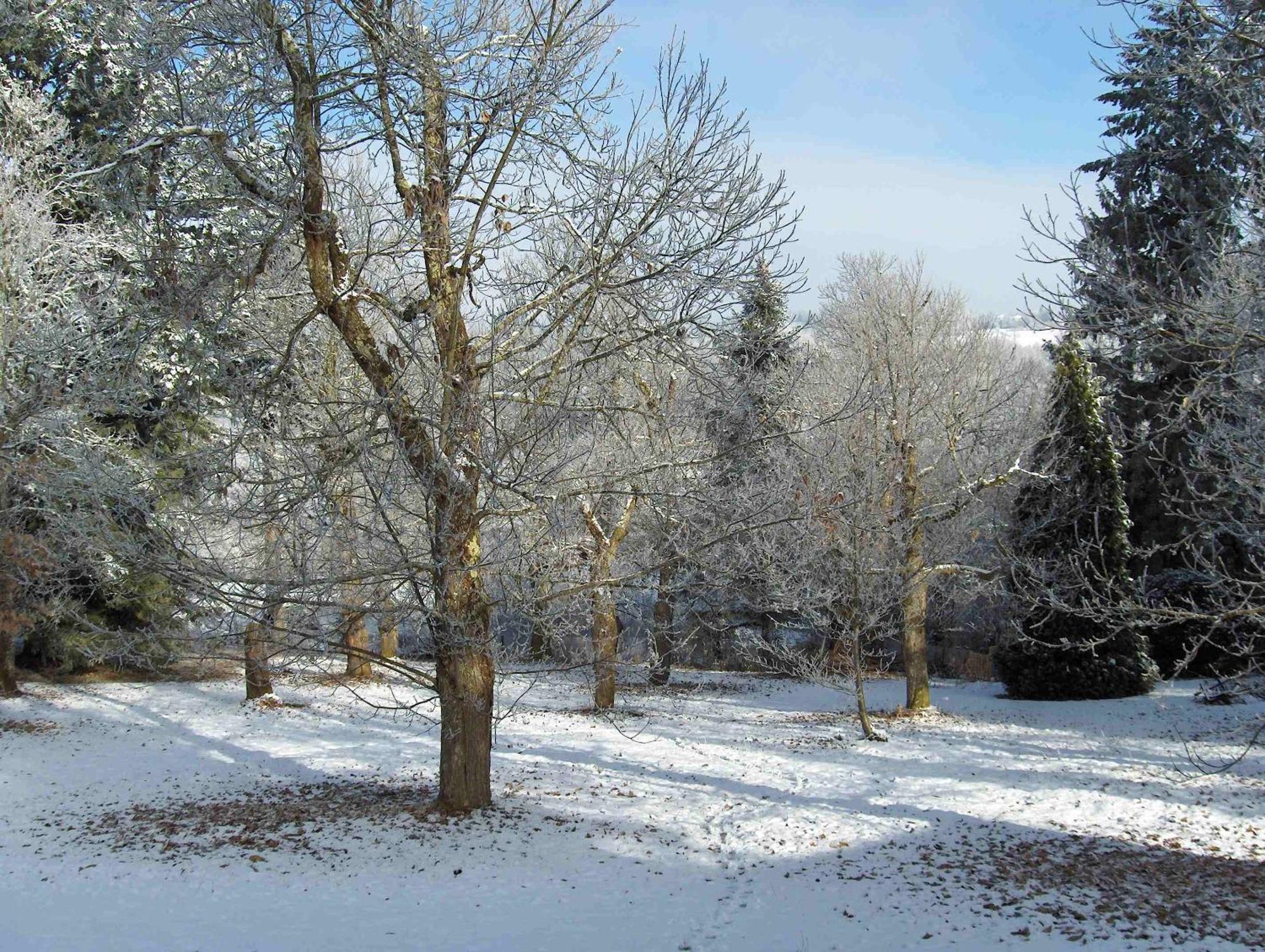 Chambres D'Hotes Le Chalet Condat-sur-Vienne Εξωτερικό φωτογραφία